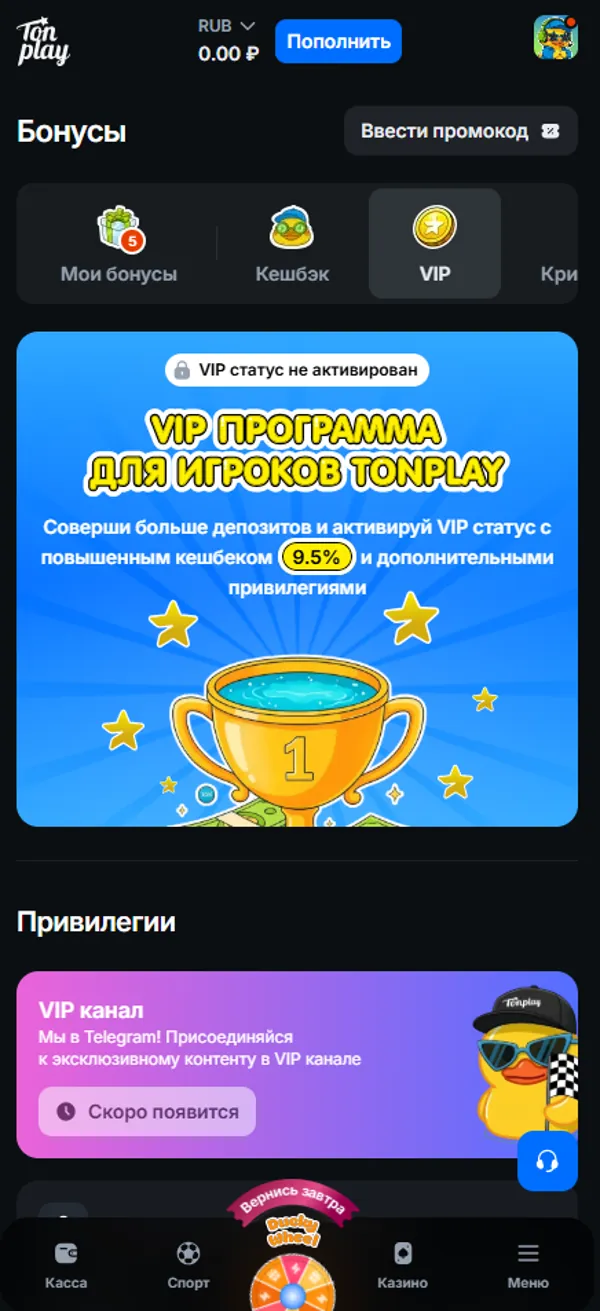 Раздел VIP в бонусах TonPlay